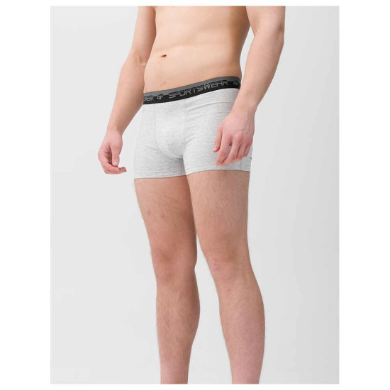 4F Ανδρικό εσώρουχο boxer 2-Pack